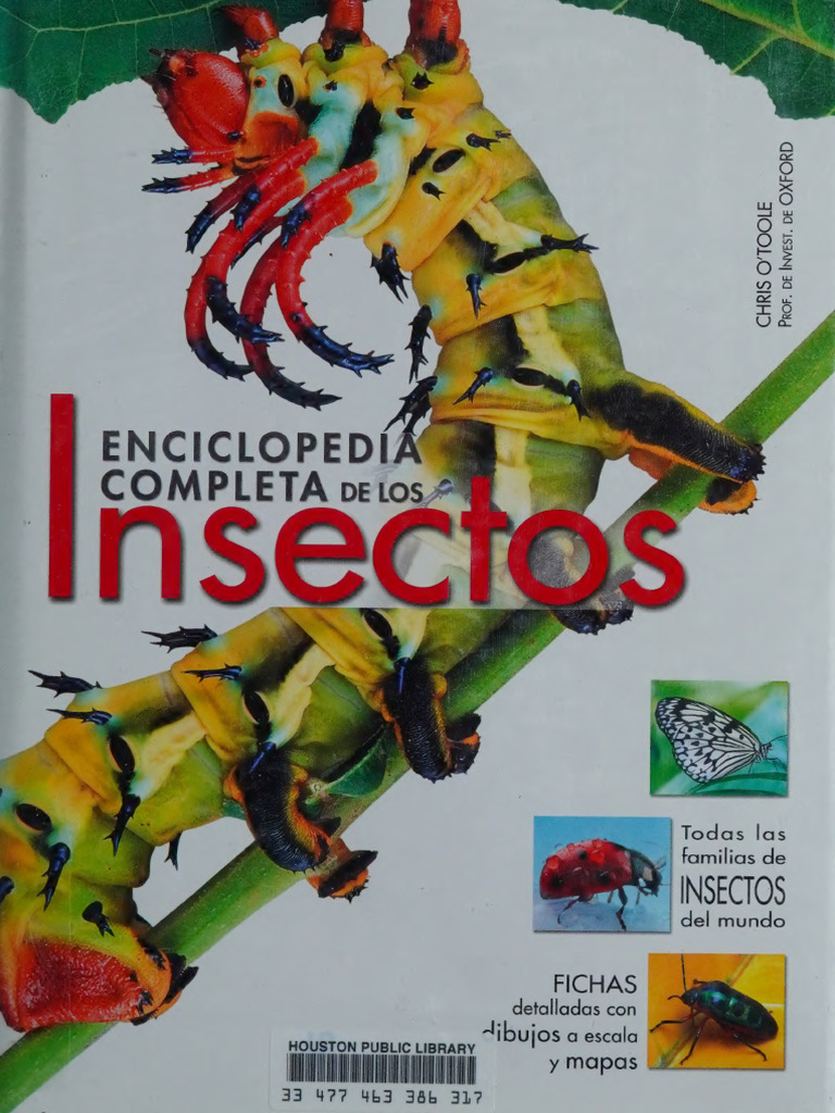 Enciclopedia Completa de los Insectos (Grandes Obras) -- [editado por ...