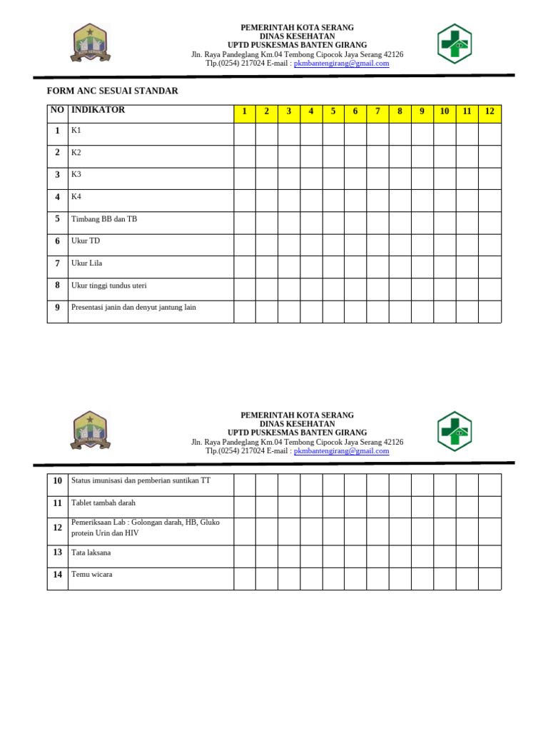 Formulir ANC Standar Puskesmas Banten Girang | PDF