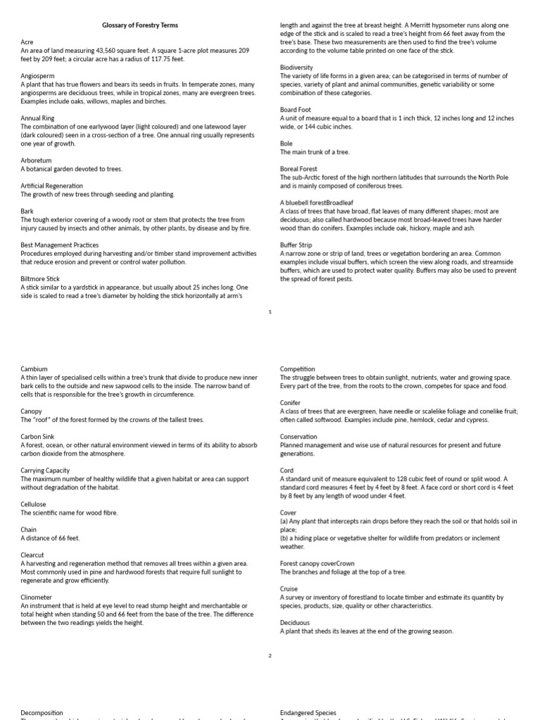 Forestry Terms Glossary | PDF | Trees | Wood