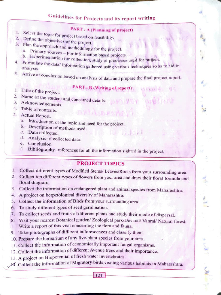 Project Report Writing Guidelines | PDF | Seed | Plants