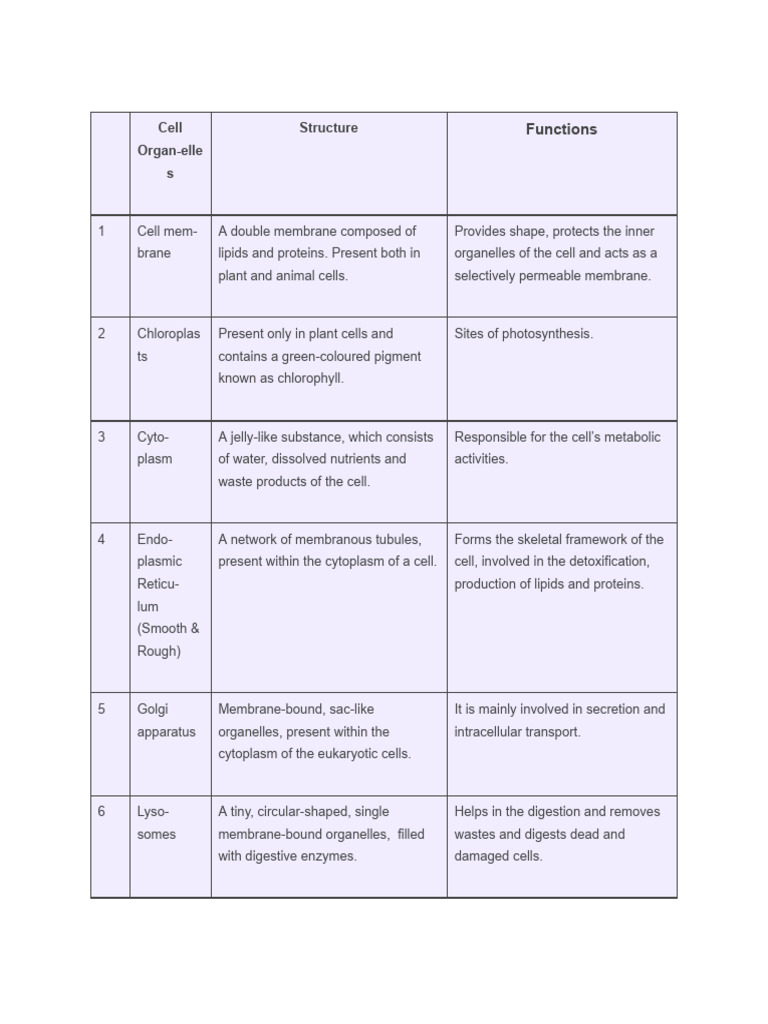 Cell Organelles: Structure & Functions | PDF