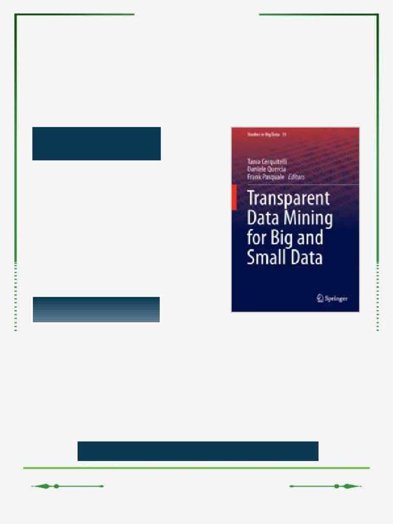 Transparent Data Mining for Big and Small Data 1st Edition Tania ...