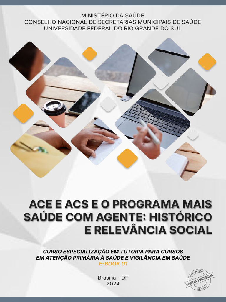 ACE e ACS: Programa Mais Saúde 2024 | PDF | Educação à distância ...
