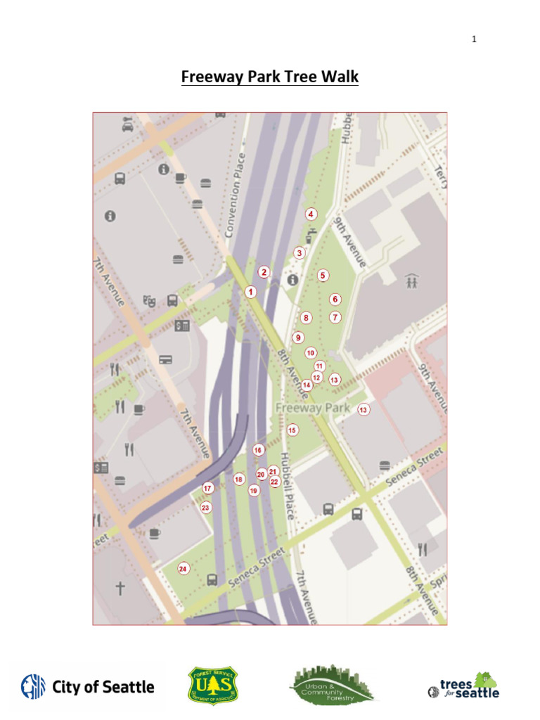 Seattle Freeway Park Tree Walk Guide | PDF | Maple | Trees