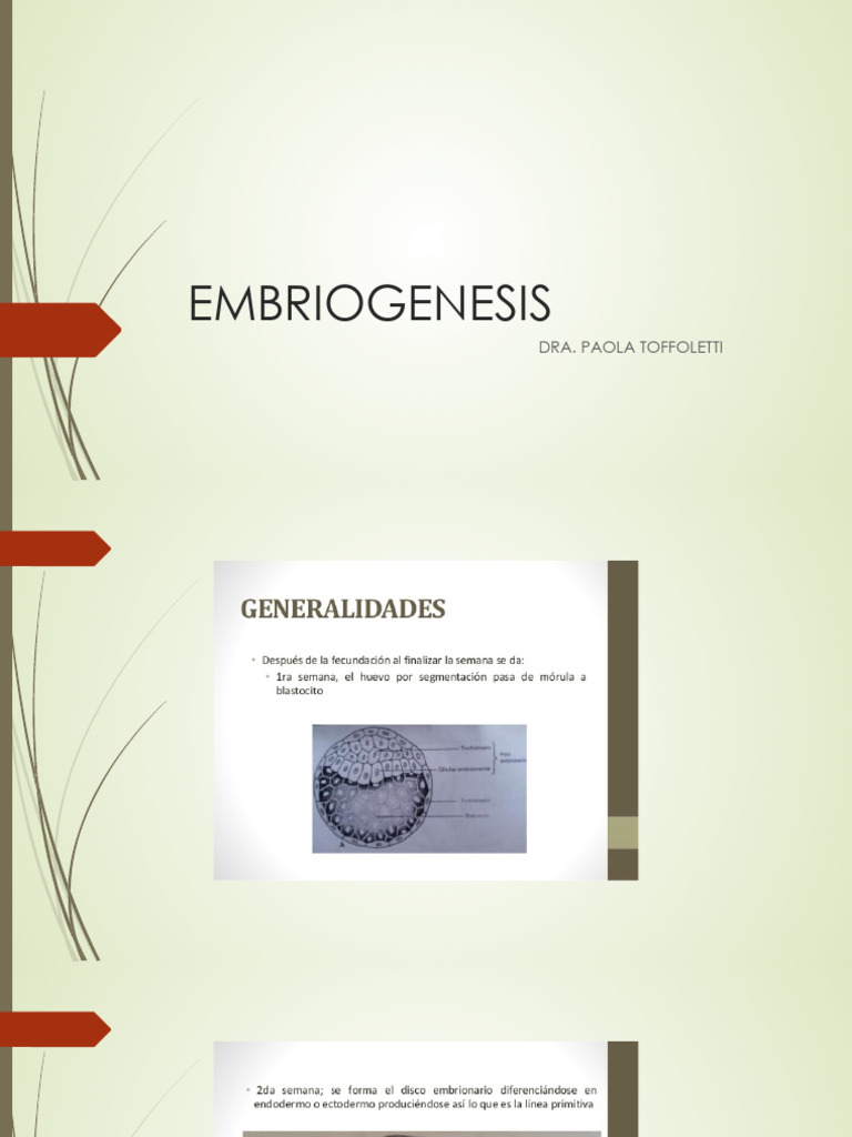 01 - EMBRIO_090446 | PDF