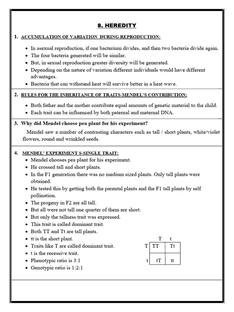 8. HEREDITY | PDF | Dominance (Genetics) | Genotype