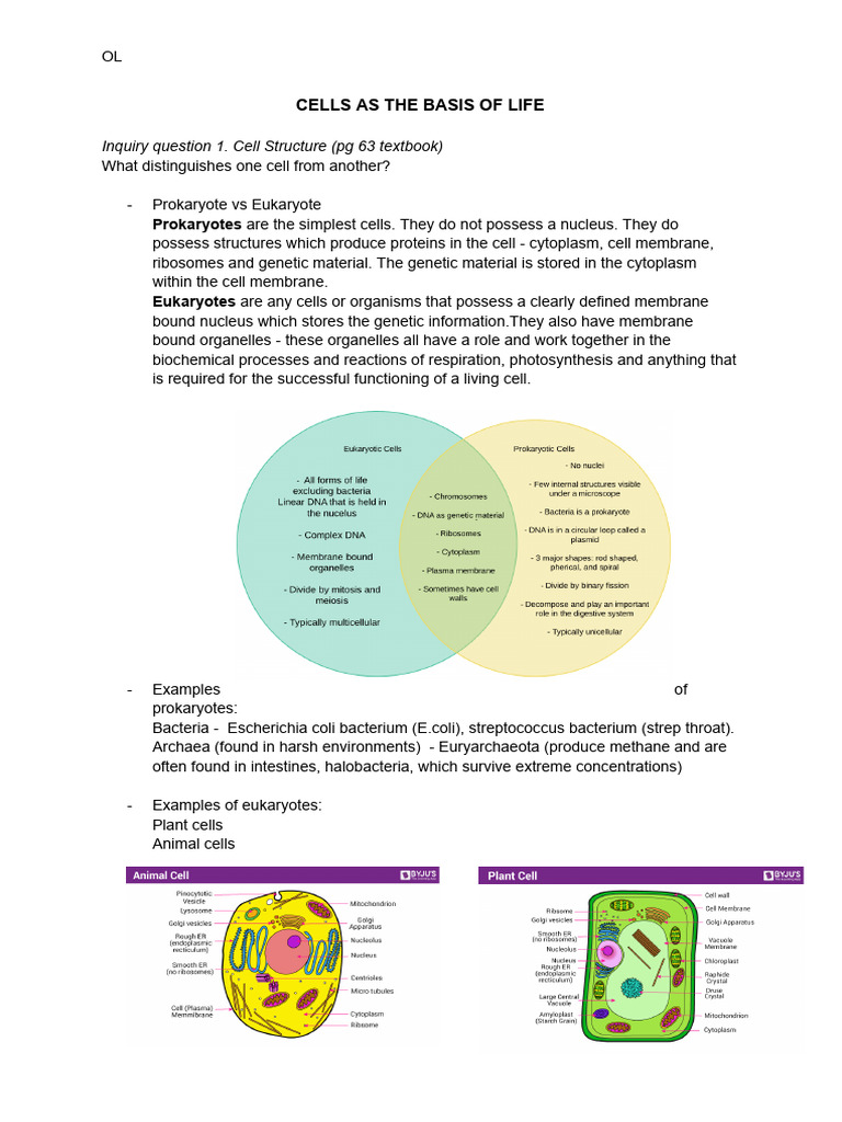 Copy of MOD 1 BIO | PDF | Cell (Biology) | Cell Membrane