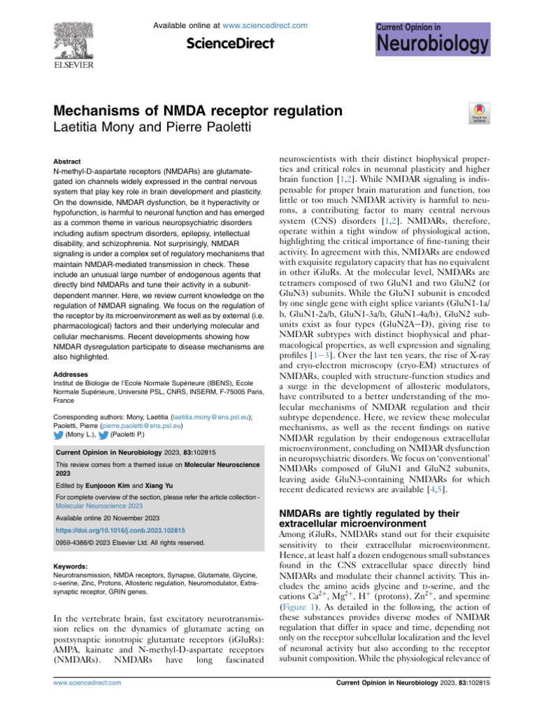 2023_Mechanisms of NMDA Receptor Regulation | PDF | Nmda Receptor | Synapse