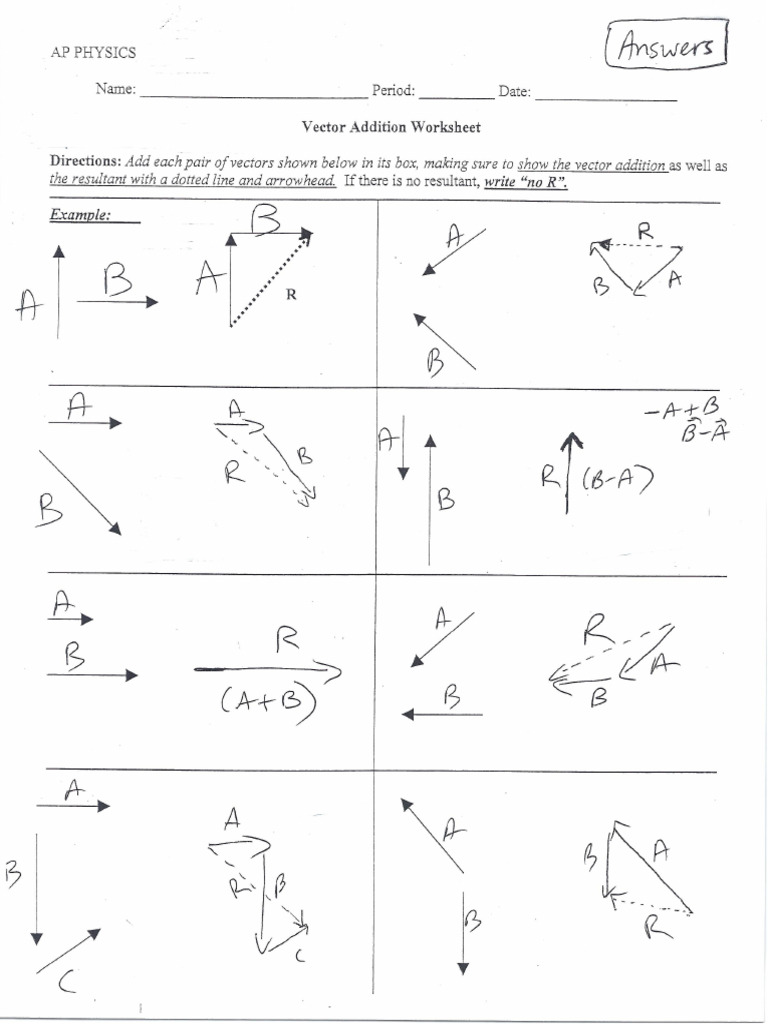 answers-vector-addition-worksheet-final-pdf