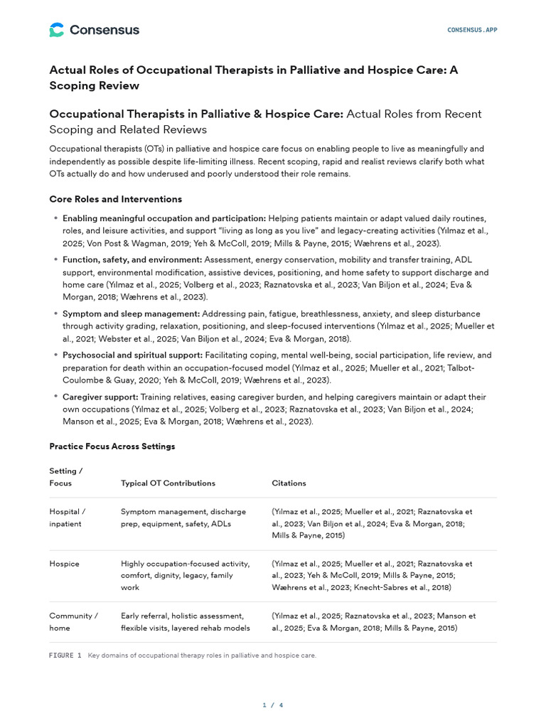 Roles of Occupational Therapists in Palliative Care | PDF | Palliative ...