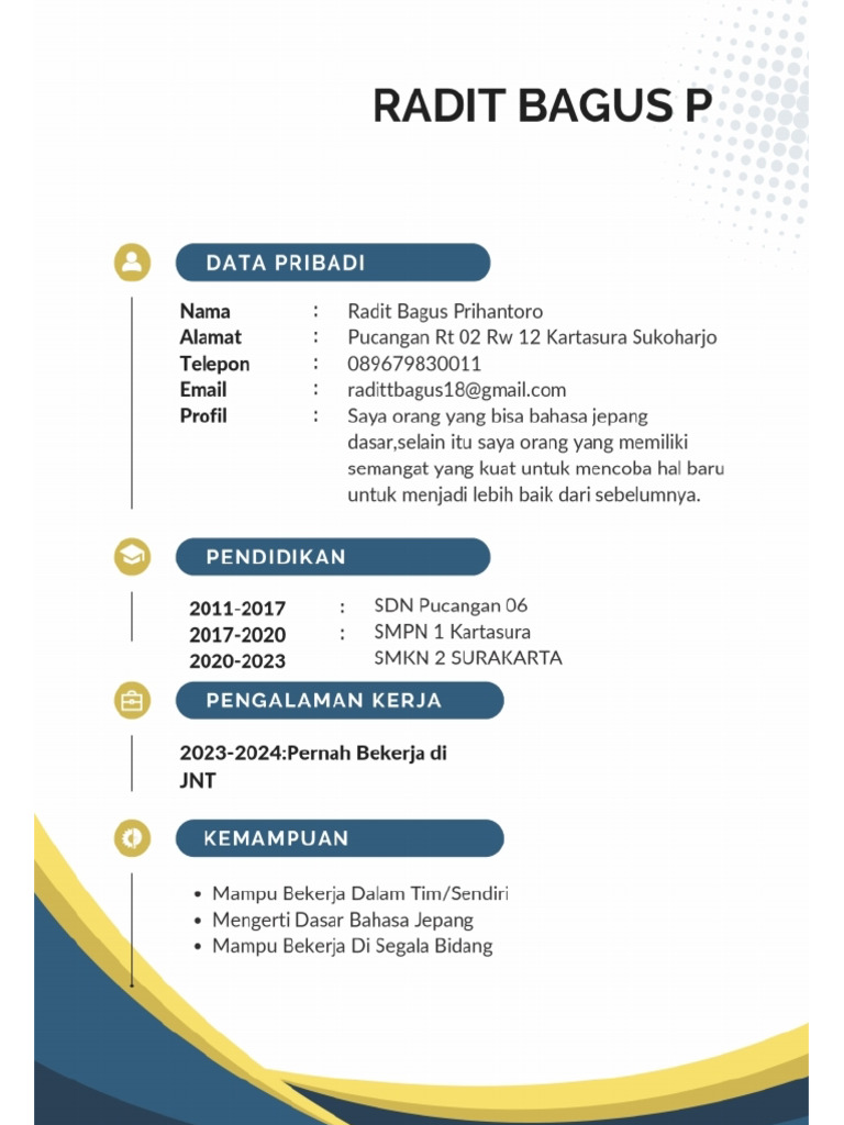 Radit Bagus P_CV | PDF