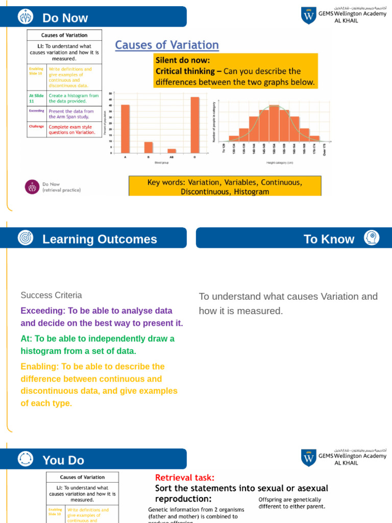 Variation Lesson TLAG | PDF