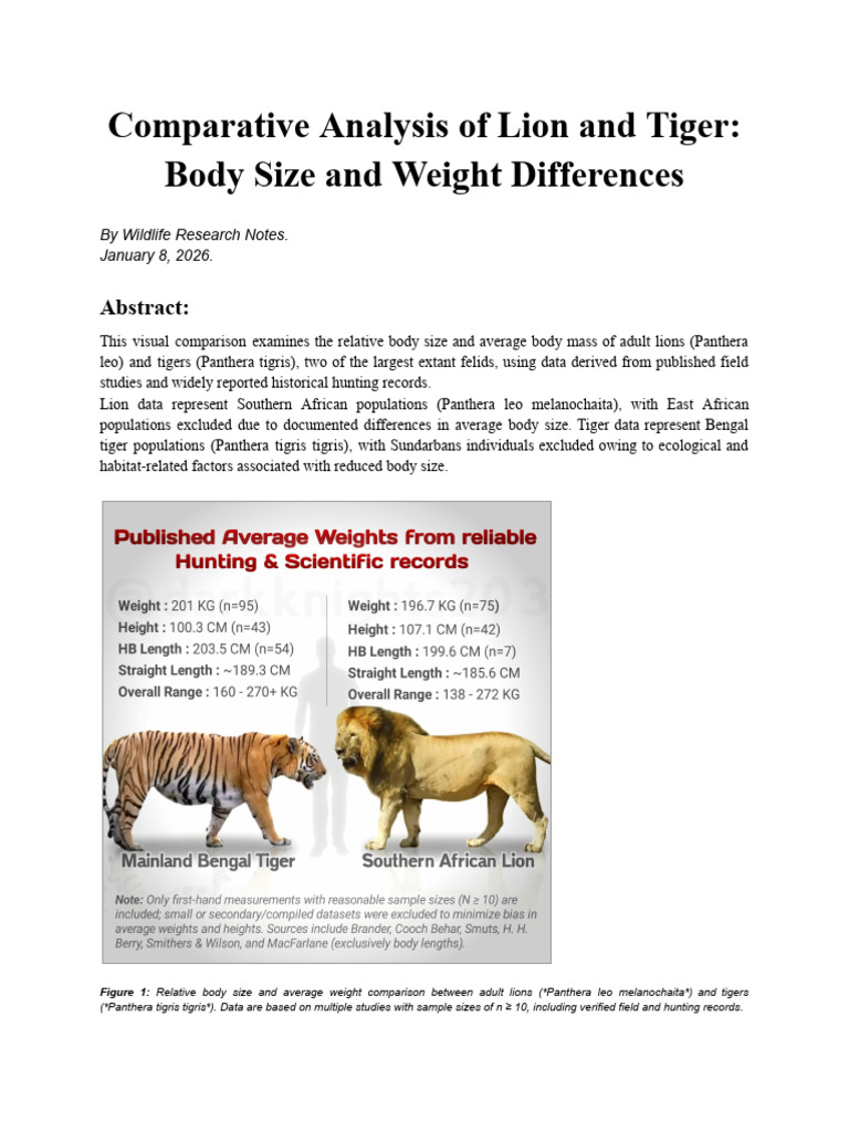 Lion vs Tiger: Body Size Comparison | PDF | Tiger | Lion