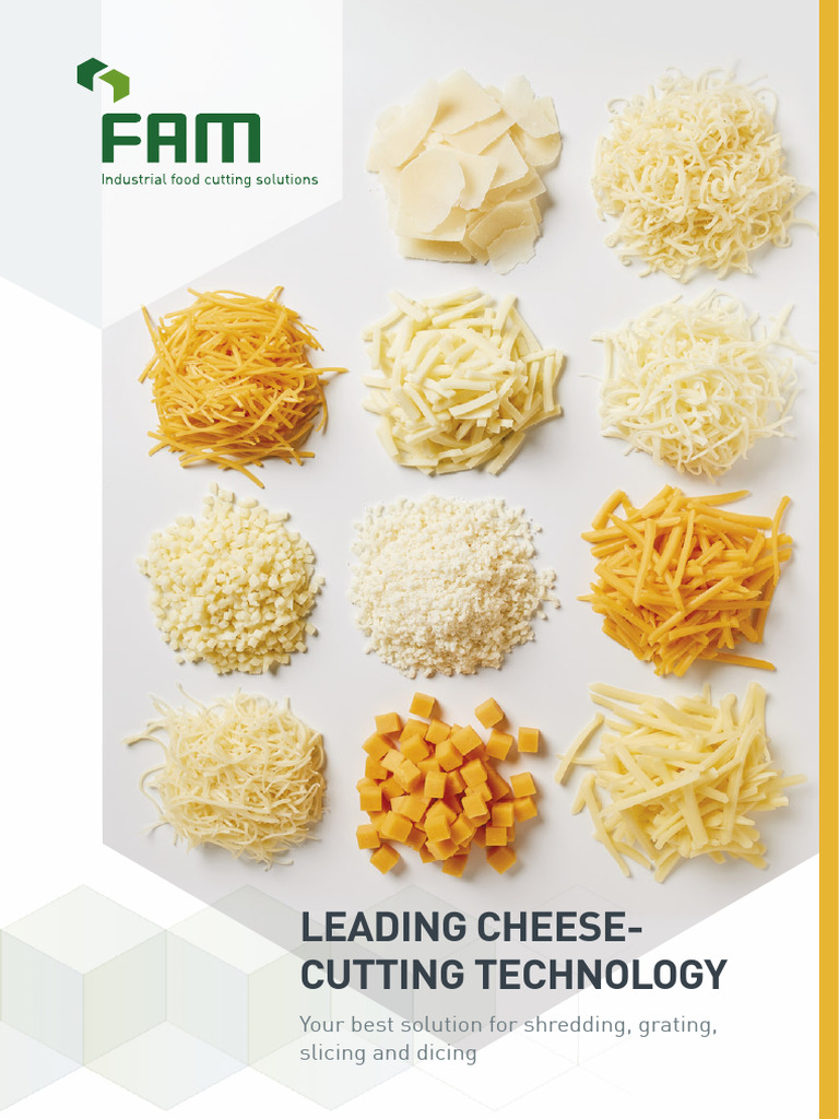 Segment Brochure Cheese en 0421 | PDF | Pizza
