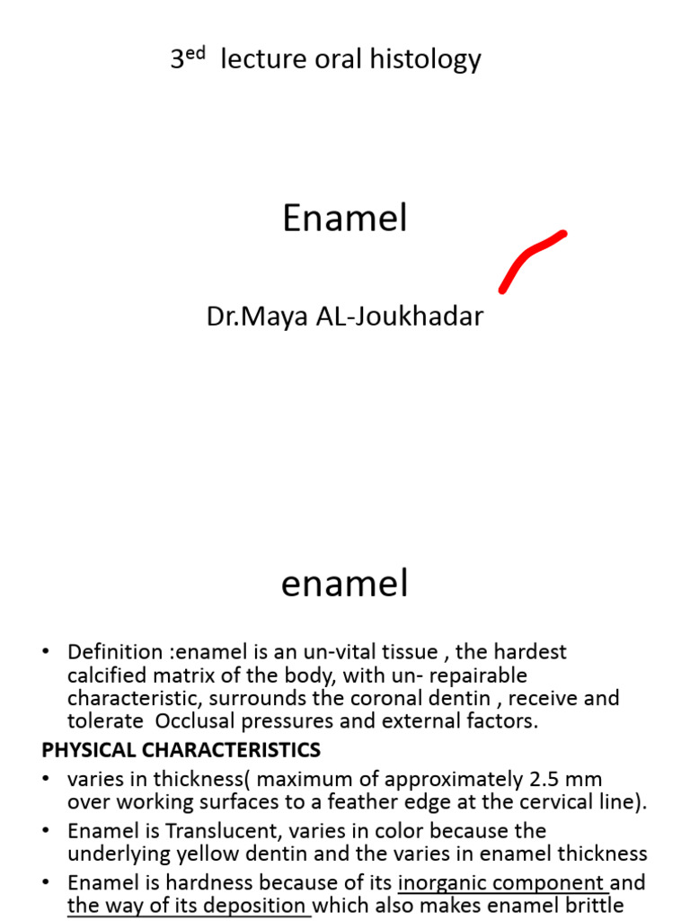 Understanding Enamel: Structure & Properties | PDF | Tooth Enamel | Dentin
