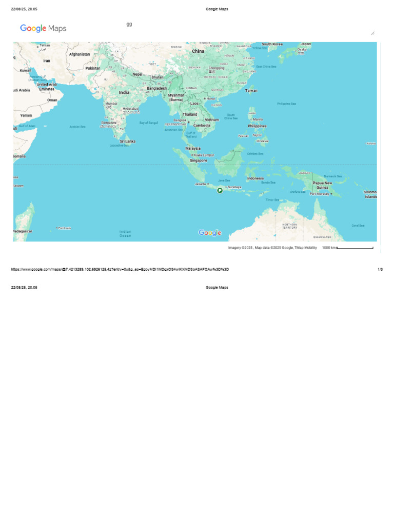 Google Maps Location Overview | PDF