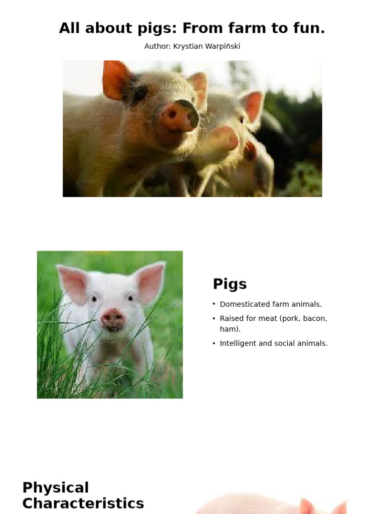 Understanding Pigs: Care, Breeds, and Fun Facts | PDF