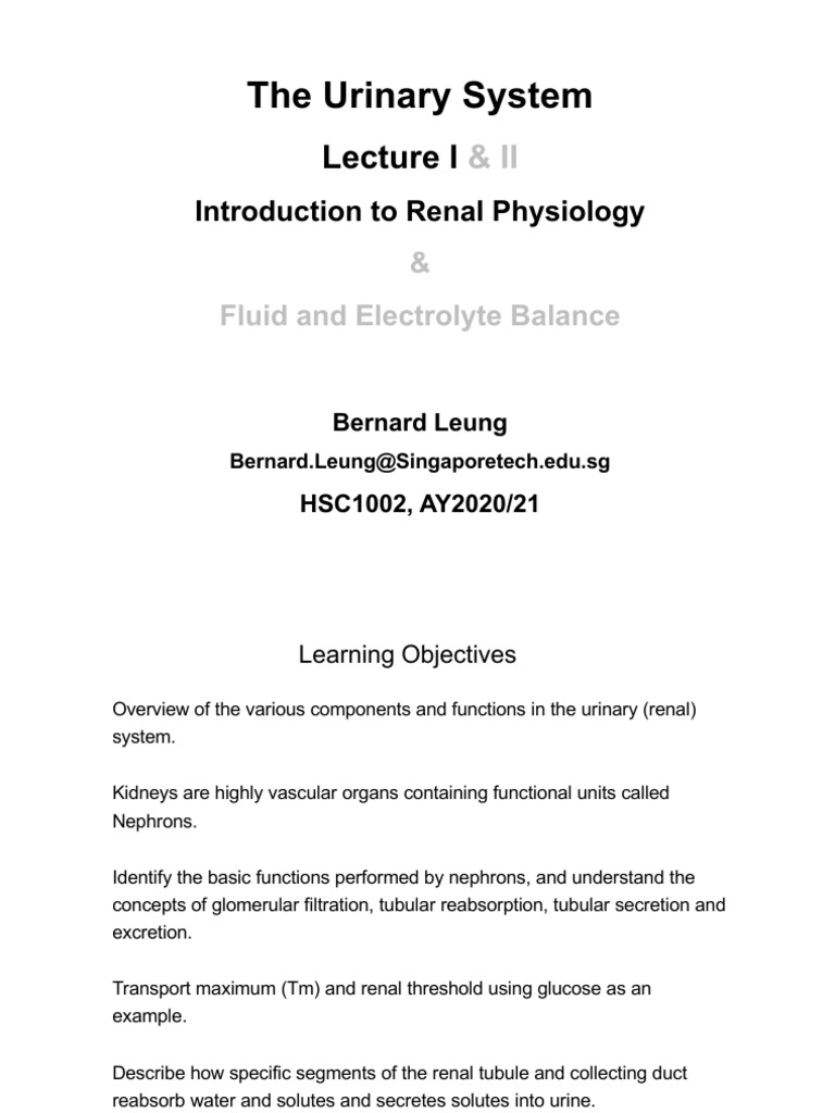 WK9 Renal Physiology Lecture 1 - 2 | PDF | Kidney | Organ (Anatomy)