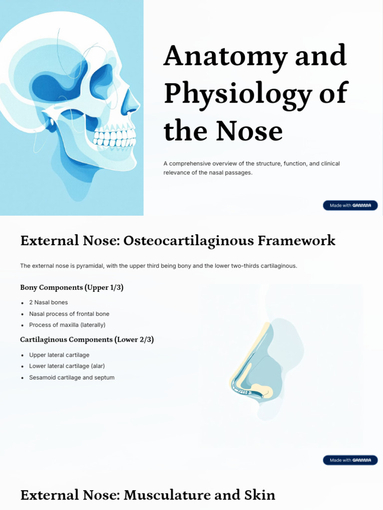 Anatomy and Physiology of the Nose | PDF | Human Nose | Rhinology