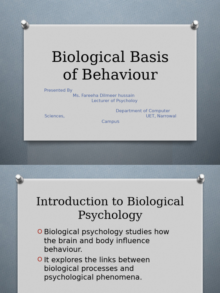 1761662469750 Biological Basis of Behaviour | PDF | Neuron | Axon