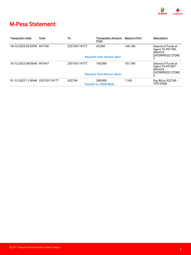 M-Pesa Transaction Statement Summary | PDF