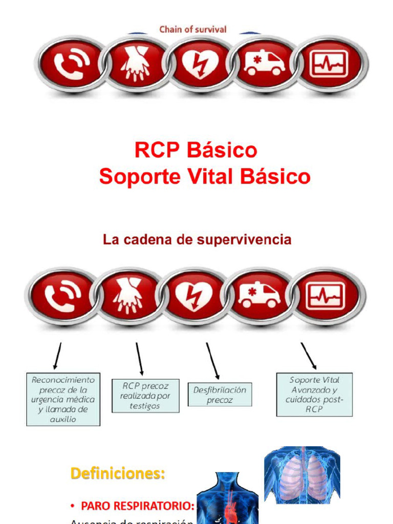 RCP | PDF