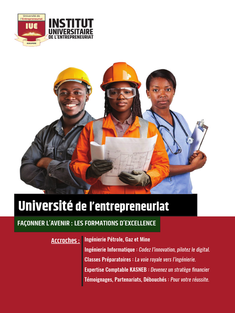 Formations d'Excellence à l'IUE | PDF | Ingénieur | Informatique