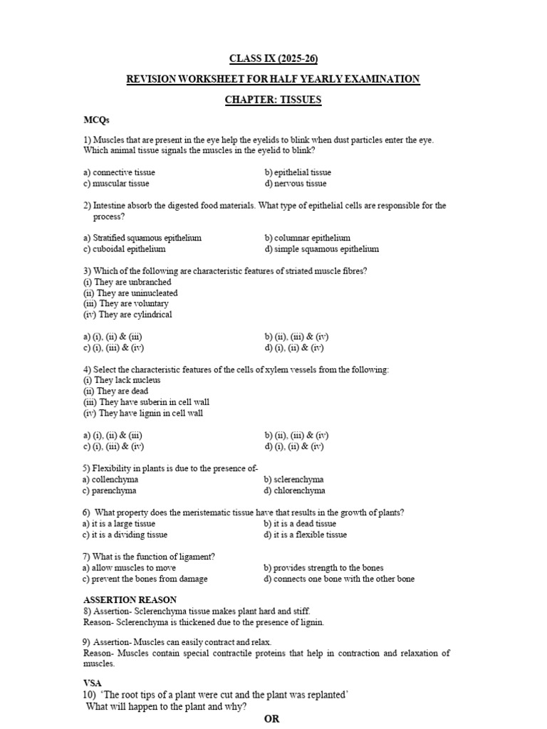 Class IX Tissues Revision Worksheet | PDF | Tissue (Biology) | Epithelium