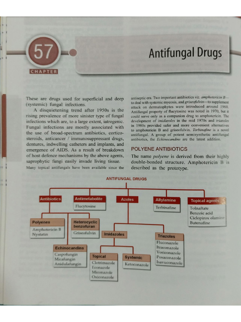 Antifungal Drugs | PDF