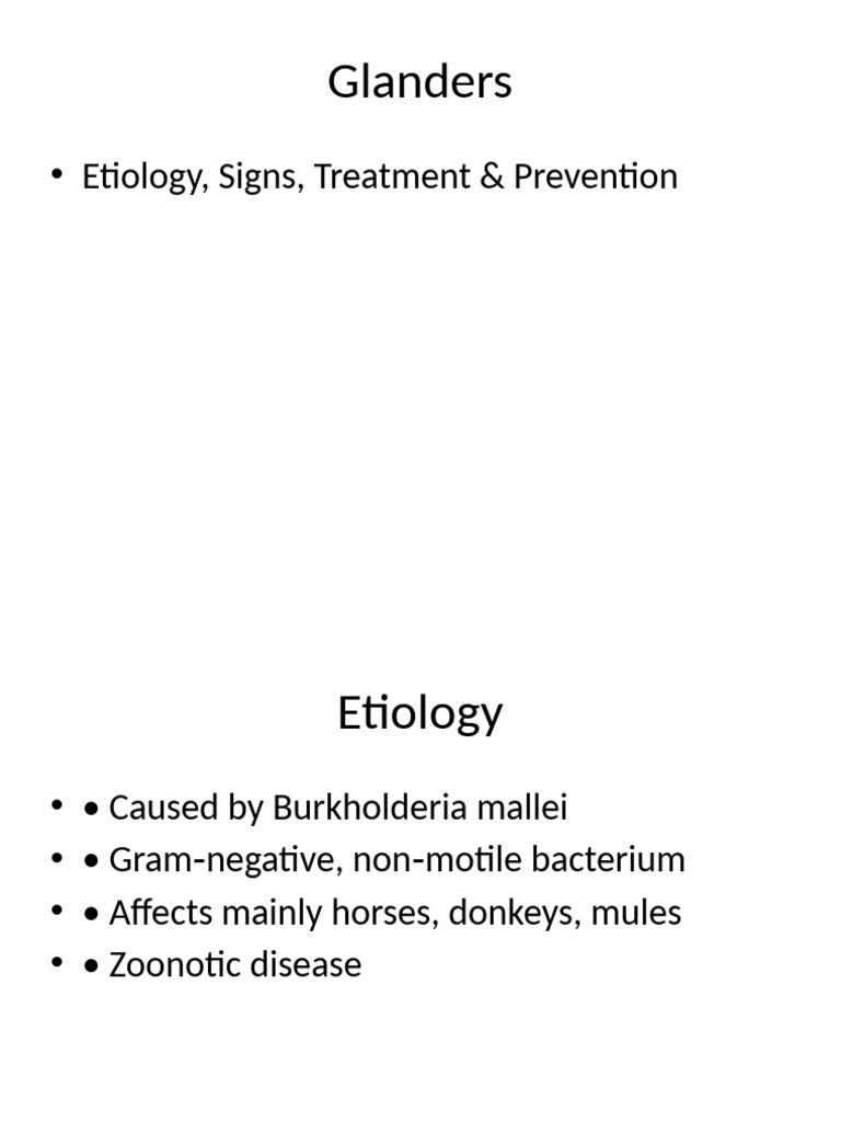Glanders | PDF