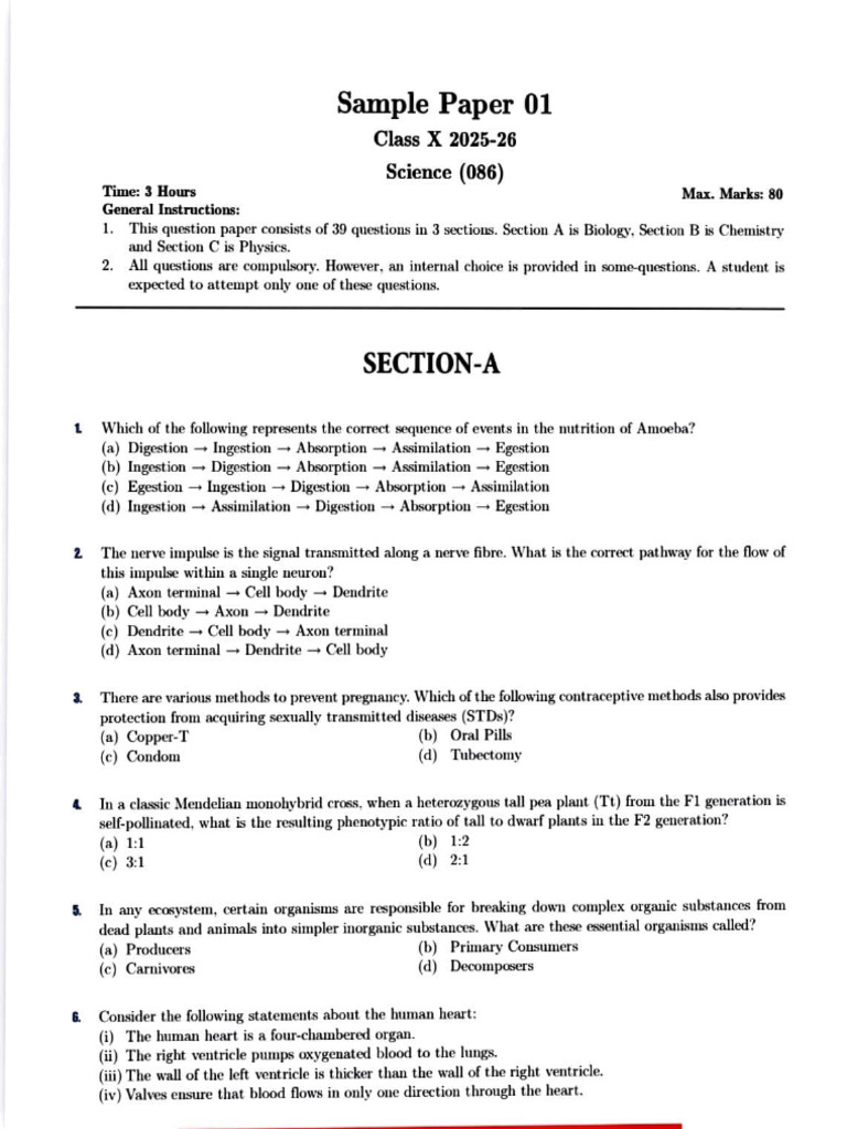 Class 10 Science Sample Paper | PDF