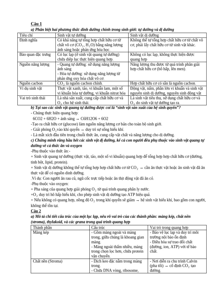 Sinh | PDF