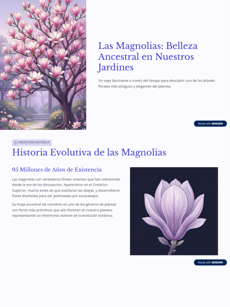 Magnolias: Historia, Cultivo y Conservación | PDF | Botánica