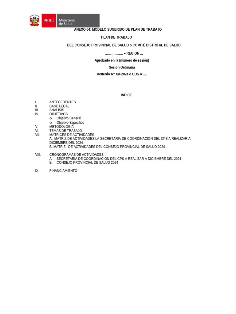 Plan de Trabajo Consejo Provincial de Salud | PDF | Gobierno local
