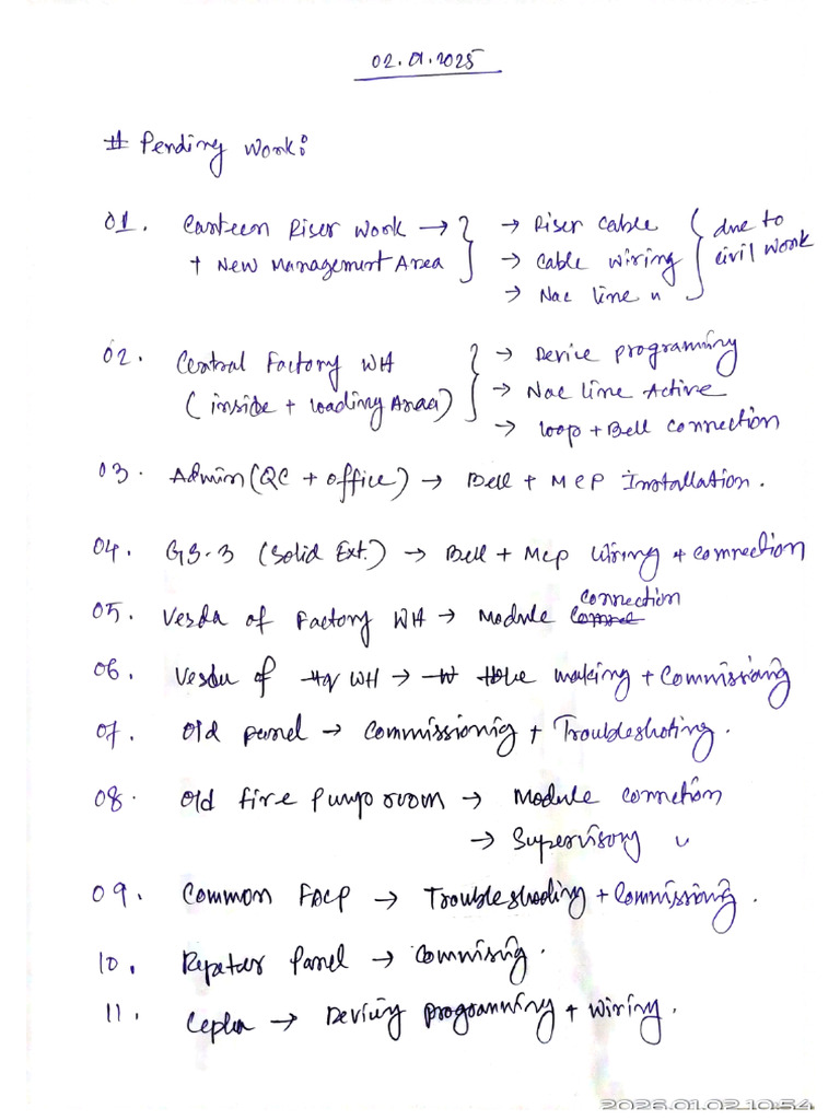 Pending Issues For Common FACP | PDF