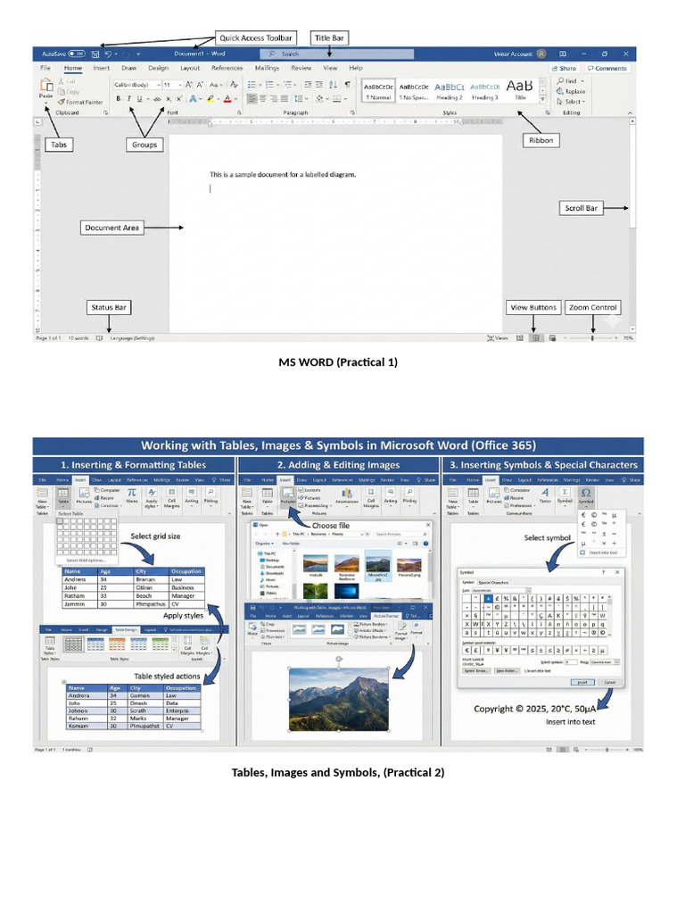 MS Office Practical Skills Guide | PDF
