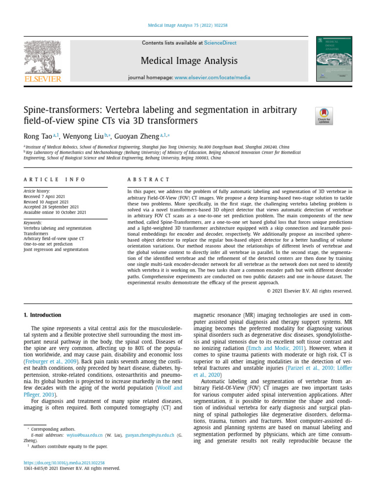 Spine-Transformers for Vertebra Segmentation | PDF | Image Segmentation