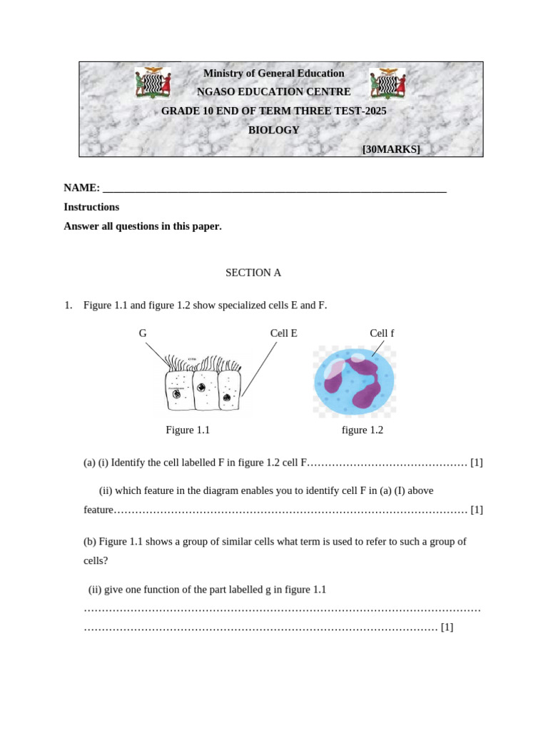 Grade 10 Biology End-of-Term Test 2025 | PDF | Cell Biology | Biology