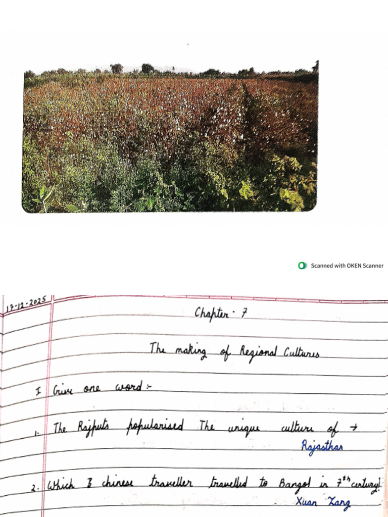 Class 7 SST Work | PDF