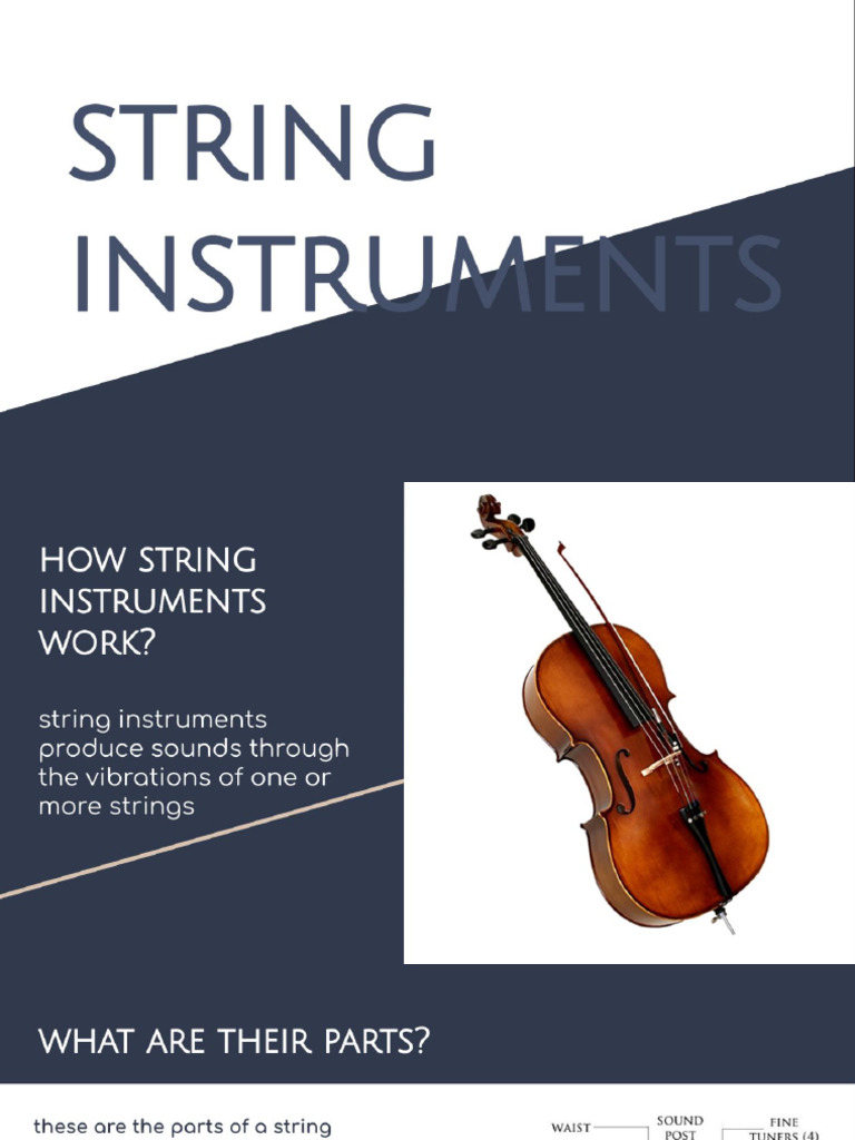 String Instruments | PDF