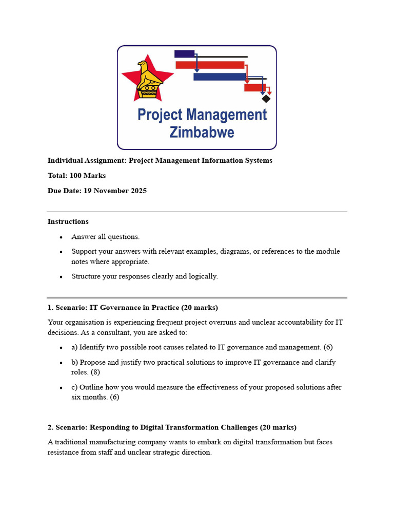 Project Management Systems Assignment Guide | PDF | Databases | Risk