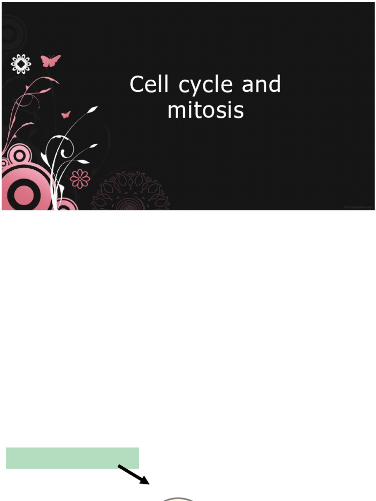 Understanding Cell Cycle and Mitosis | PDF | Mitosis | Cell Cycle