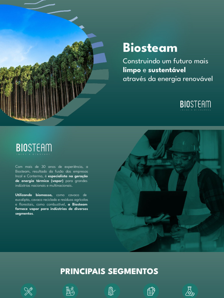 Biosteam: Energia Renovável e Sustentável | PDF | Geração de ...