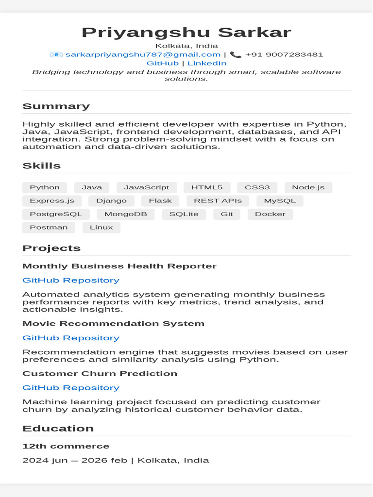 Software Developer Portfolio: Projects & Skills | PDF