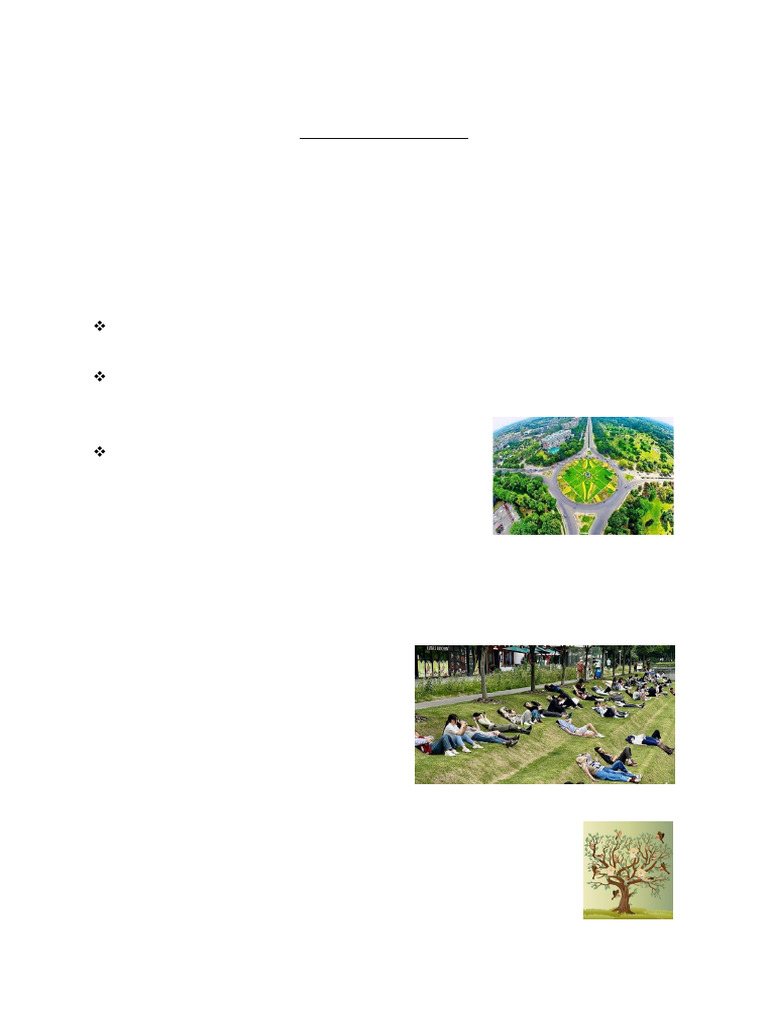 Essentials of Landscape Gardening | PDF | Lawn | Gardens