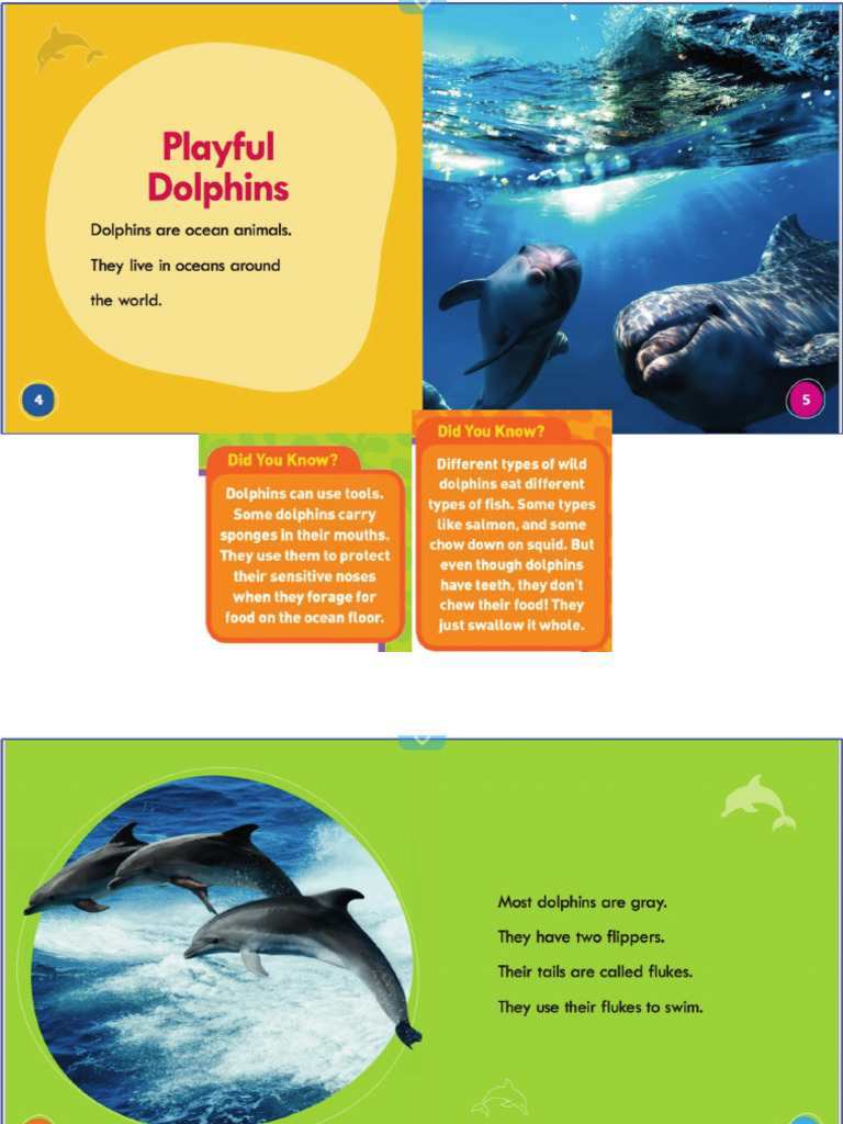 Dolphin | PDF