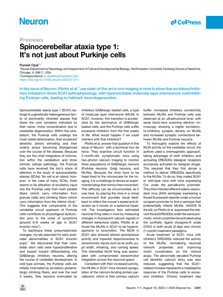 SCA1: Impact of MLIN on Purkinje Cells | PDF | Cerebellum | Neuron