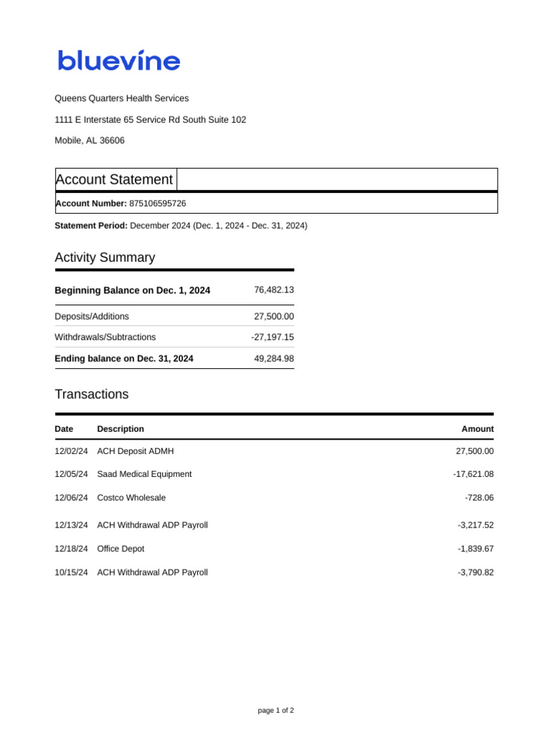 December 2024 Account Statement Summary | PDF
