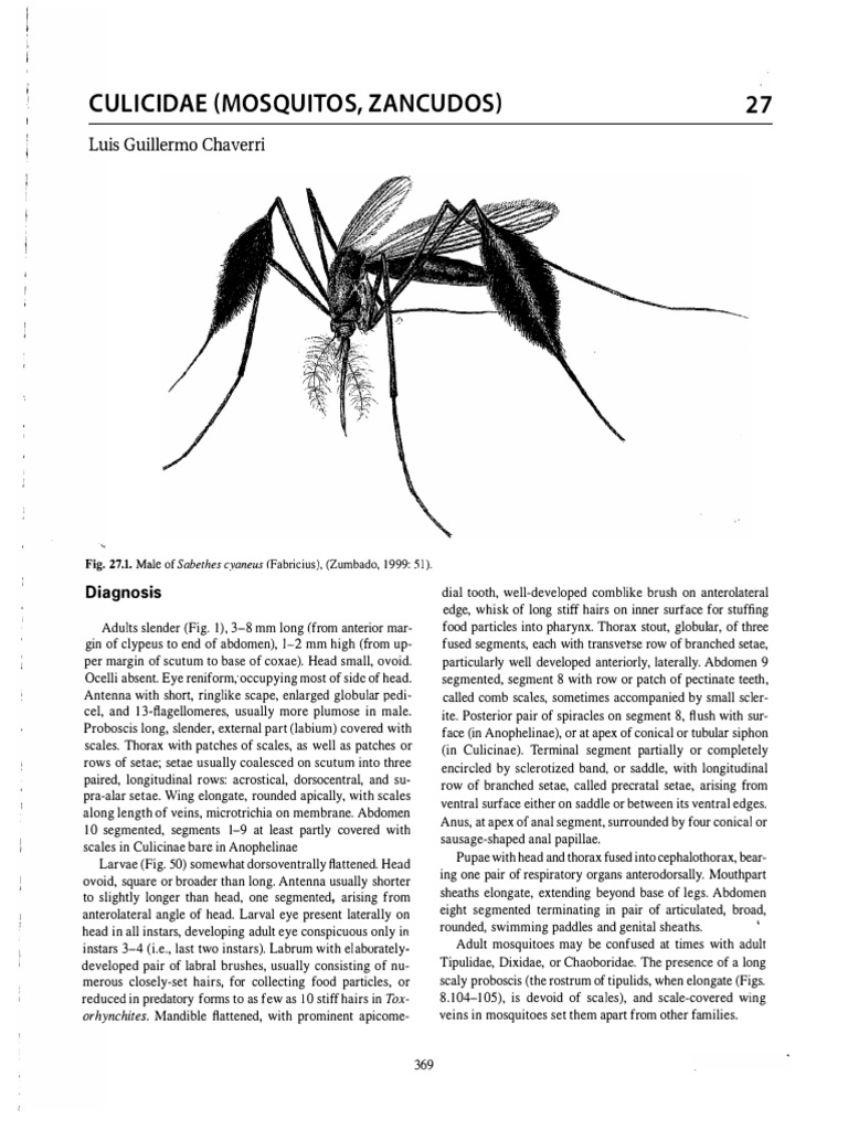 Culicidae - CAD 1 20 | PDF