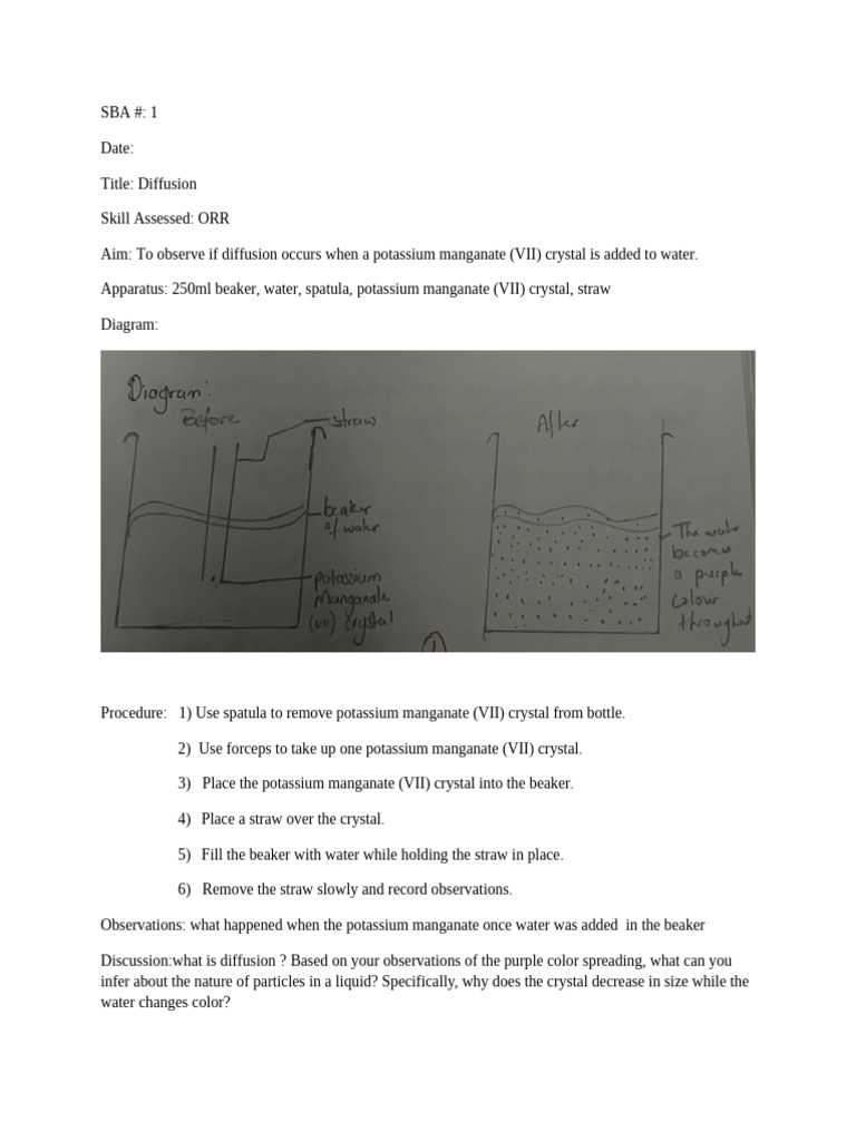 Diffusion and Osmosis Experiments | PDF | Chromatography | Magnesium